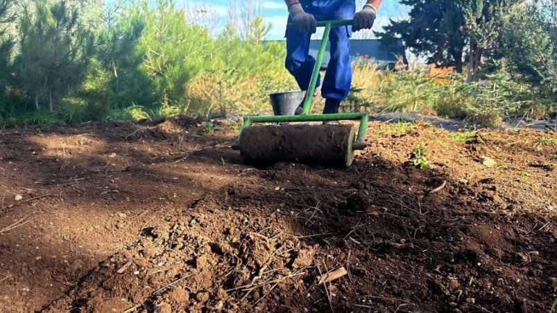 Высадка семян Пресс-служба правительства Севастополя