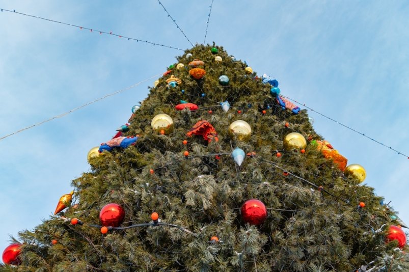 Тематическое фото Мэрия Магадана