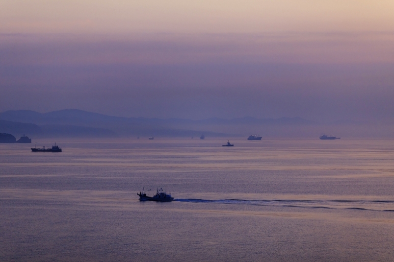 Тематическая иллюстрация ИА PrimaMedia