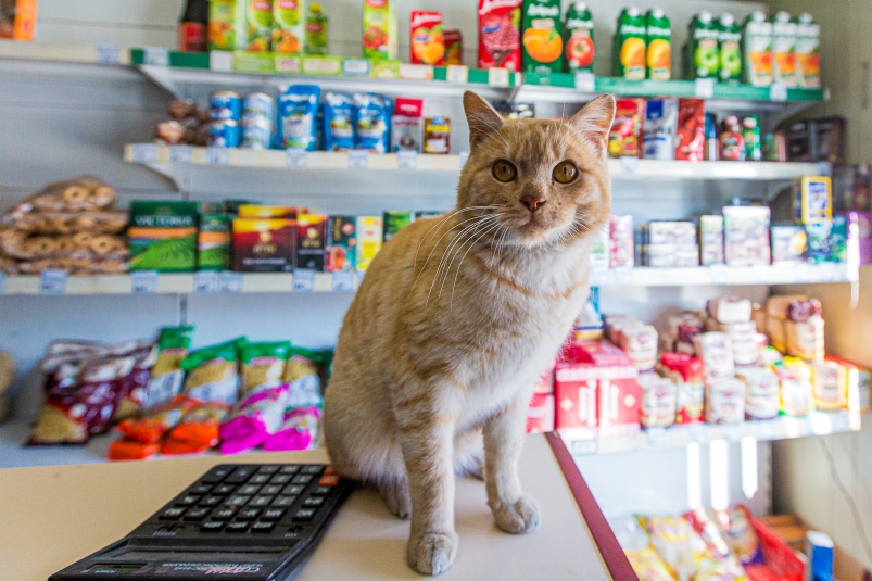 В России предлагают запретить круглосуточные магазины Мария Смитюк, ИА PrimaMedia