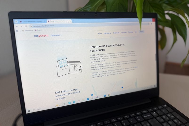 Тематическое фото Правительство ЕАО