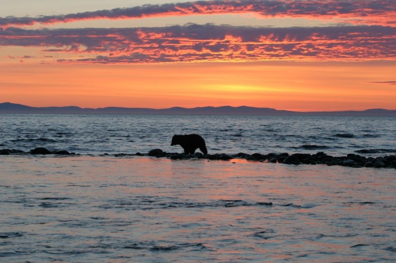 Тематическое фото ИА MagadanMedia/Игорь Чёрный