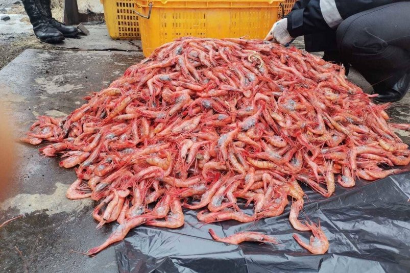 Криветки Дальневосточная транспортная прокуратура