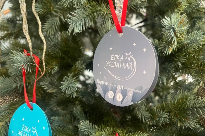 Мечты детей Хабаровского края исполнят участники акции "Ёлка желаний" Пресс-служба комитета по делам молодежи правительства Хабаровского края