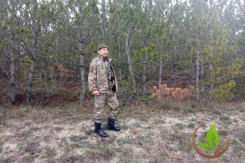 Сотрудники лесхоза инспектируют территории Соцсети министра экологии РК Ольги Шевцовой