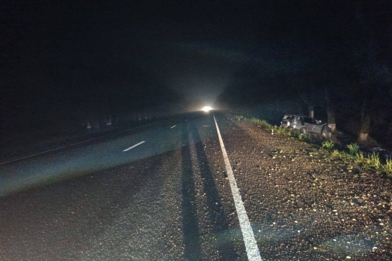 Ставрополец со 114 штрафами влетел на иномарке в дерево на трассе до Минвод Госавтоинспекция Ставрополья