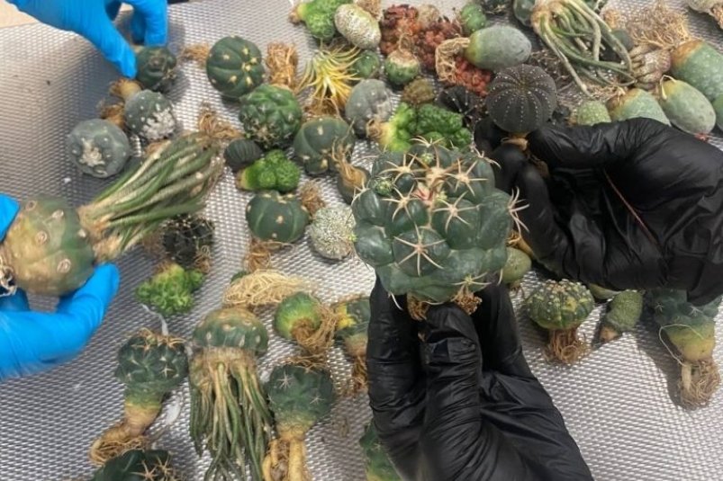 . пресс-служба Управления Россельхознадзора по Красноярскому краю