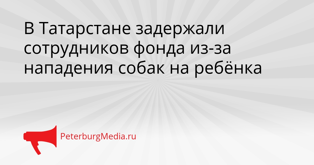 В Татарстане задержали сотрудников фонда из-за нападения собак на ребёнка Сгенерировано