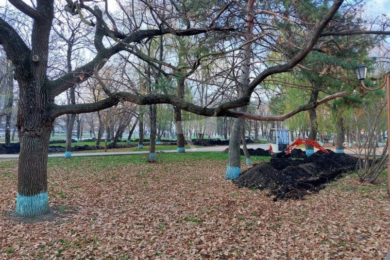 Сквер возле цирка начали благоустраивать в Ставрополе ИА Stavropol.Media