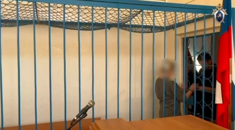 В Якутии возбуждены дела об истязании ребёнка и халатности чиновников скрин из видео СУ СК по Якутии