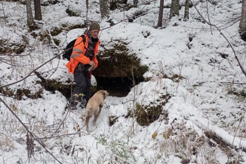 Поиски семьи Усольцевых "Лиза Алерт"