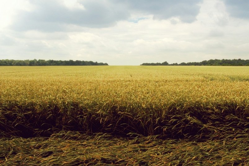 Тематическое фото unsplash.com