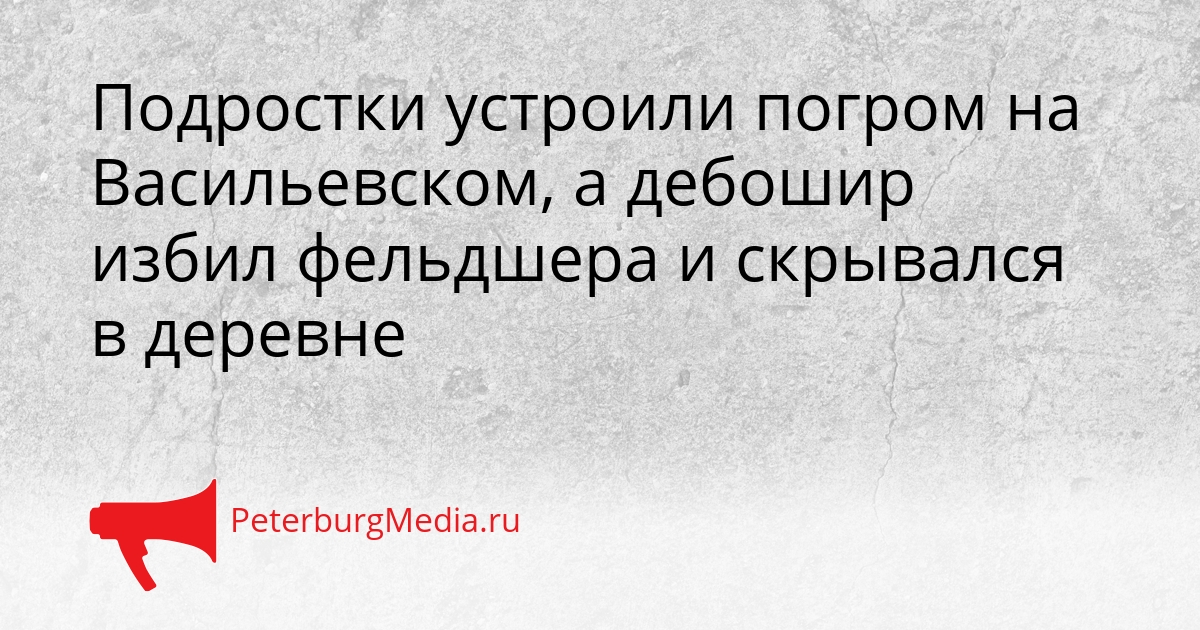 Подростки устроили погром на Васильевском, а дебошир избил фельдшера и скрывался в деревне Сгенерировано