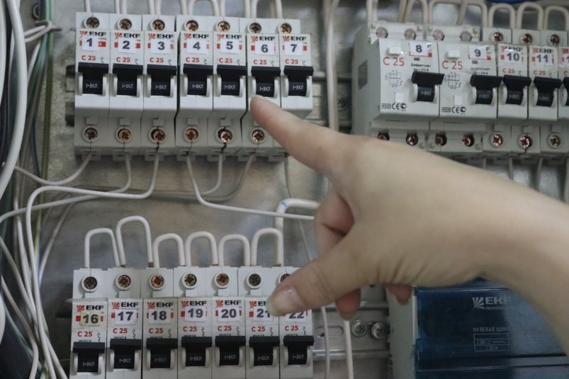 Тематическое фото Ольга Долгополова, ИА UssurMedia