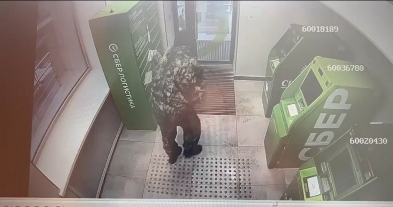 Место происшествия. пресс-служба Прокуратуры Омской области