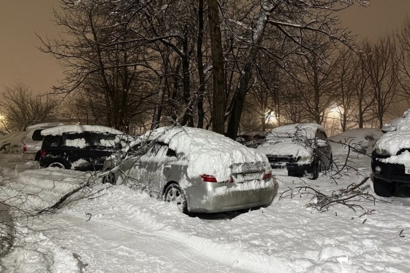 Снегопад в Петропавловске ИА KamchatkaMedia