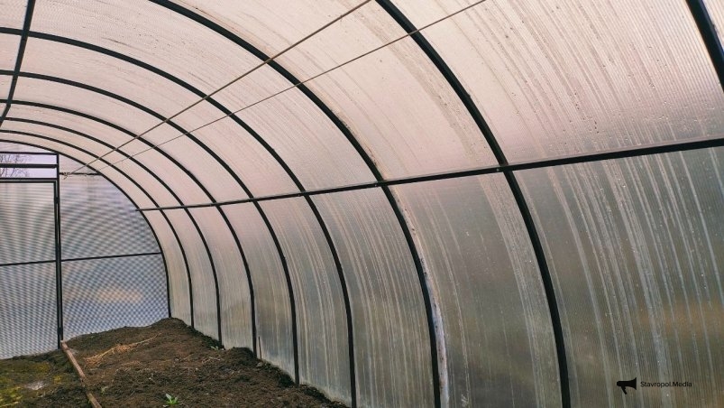 Нужно ли закрывать теплицу на зиму - агроном дал четкий ответ: в многолетнем споре поставлена точка Автора