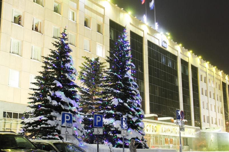 Открытие новогодних ёлок в Петропавловске-Камчатском перенесли из-за погоды Евгений Никитенко, ИА KamchatkaMedia
