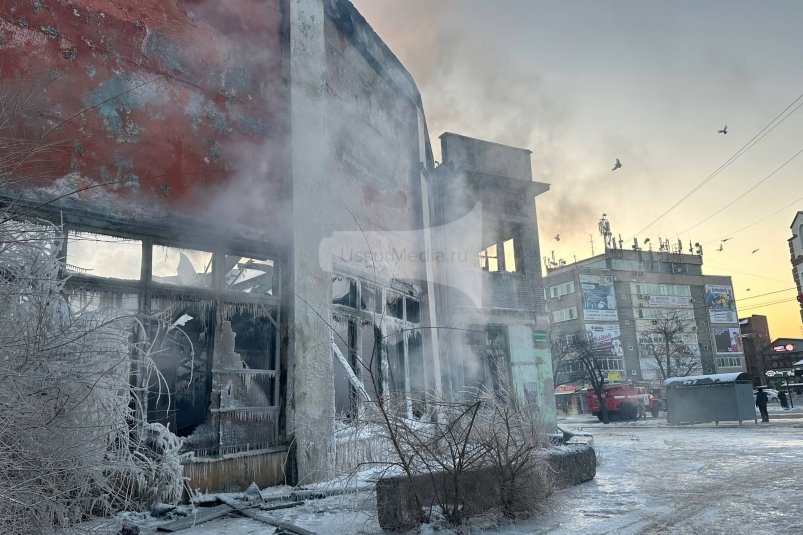 Пожар в цирке Александр Шепырев, ИА UssurMedia