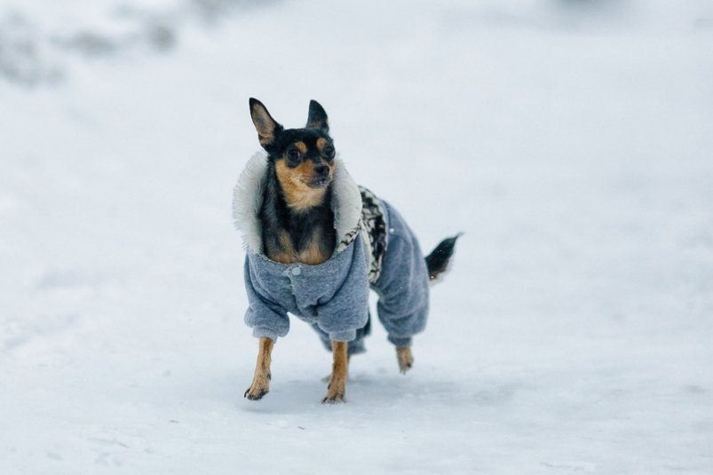 тематическое фото ИА ЕАОMedia