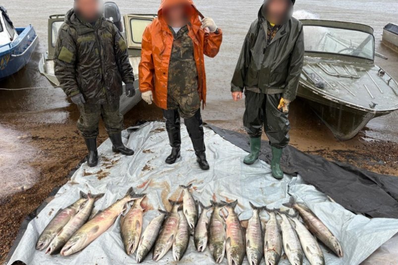 Тематическое фото Пресс-служба УМВД России по Хабаровскому краю