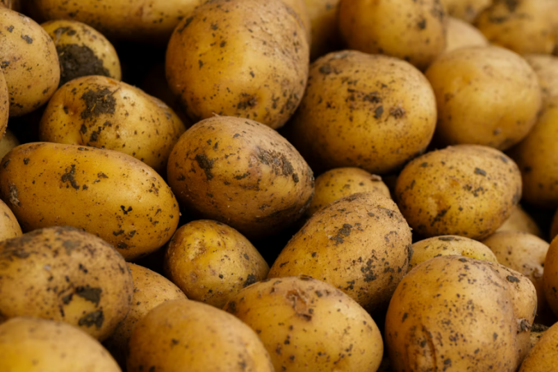 Тематическое фото Unsplash.com (18+)