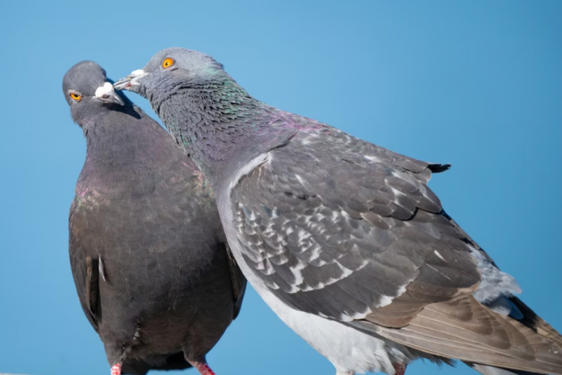 Тематическое фото Unsplash.com (18+)