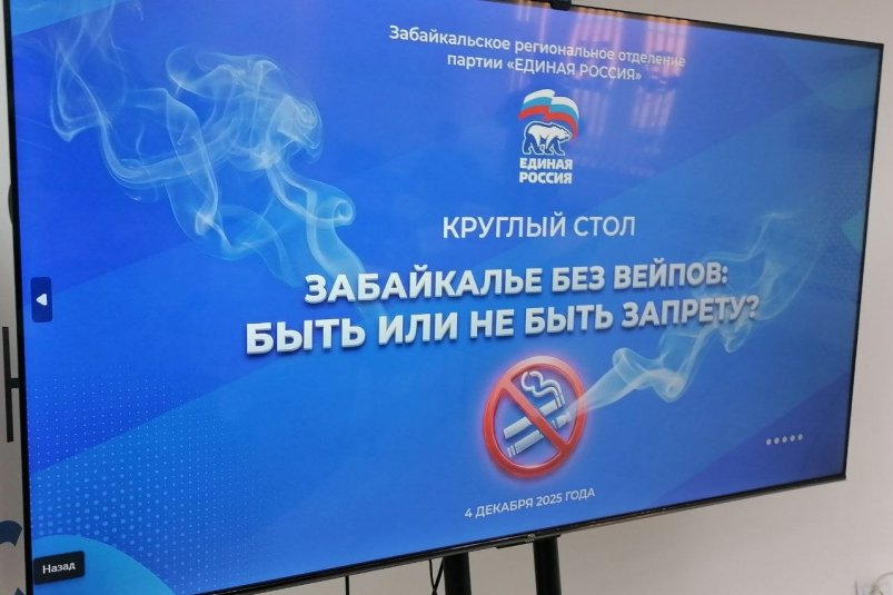 Круглый стол Анета Абрамченко, ИА ChitaMedia