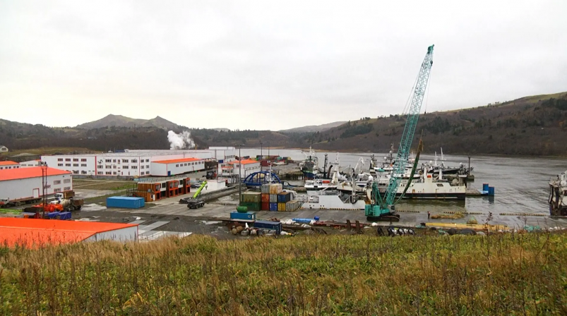 Круглогодичный комплекс по переработке рыбы на Шикотане пресс-служба правительства Сахалинской области