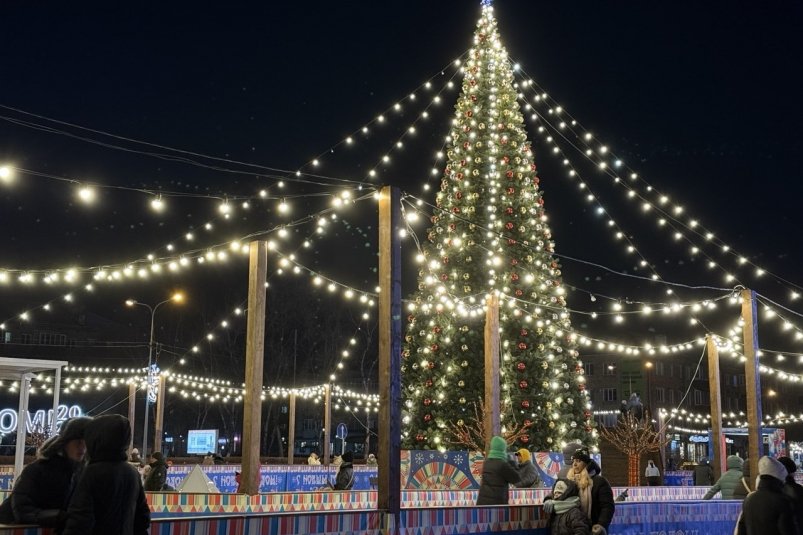 Детская ёлка как приманка: эксперт рассказал о новой схеме мошенников Марина Кудрявцева, ИА UssurMedia