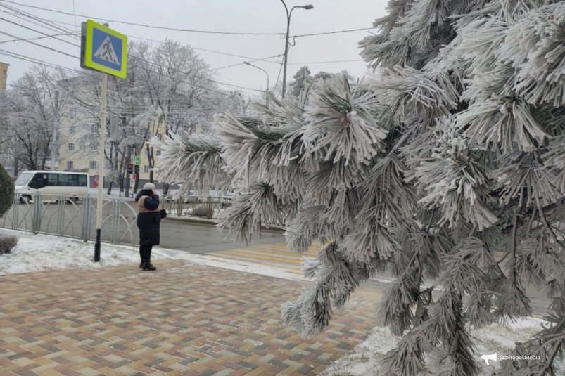 Первый снег прогнозируют в Ставрополе ИА Stavropol.Media