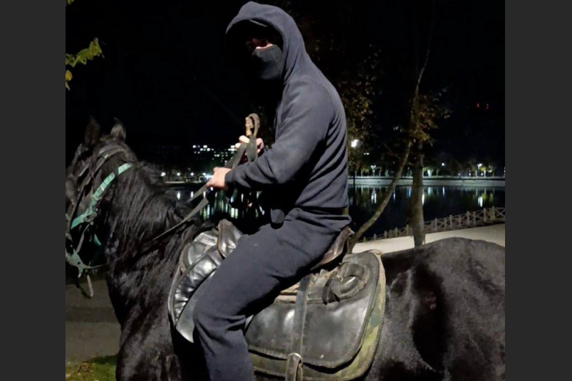 Дело на ударившего пенсионеров всадника в Кисловодске передали в суд Соцсети Е.Моисеева