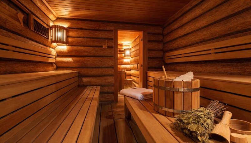 Муравьи сожрали баню изнутри — и лишь химия решила вопрос: как спастись от паразитов ИИ GigaChat (18+)