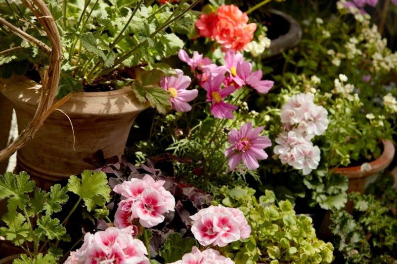 Тематическое фото unsplash