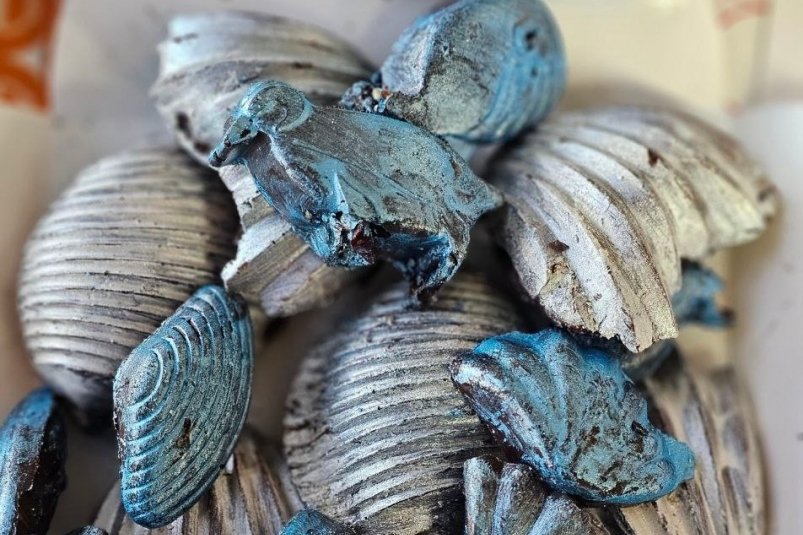 Креветки в шоколаде Соцсети губернатора Севастополя Михаила Развожаева