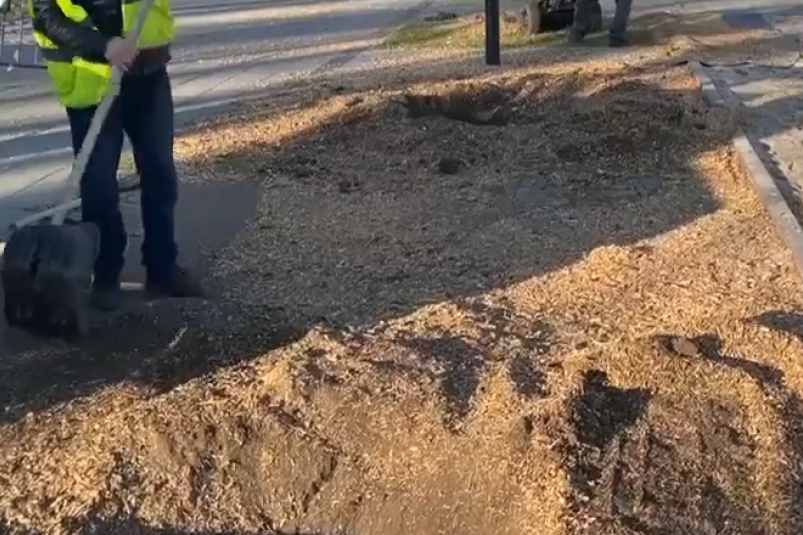 Спил деревьев на Старом озере прокомментировал мэр Кисловодска ИА Stavropol.Media