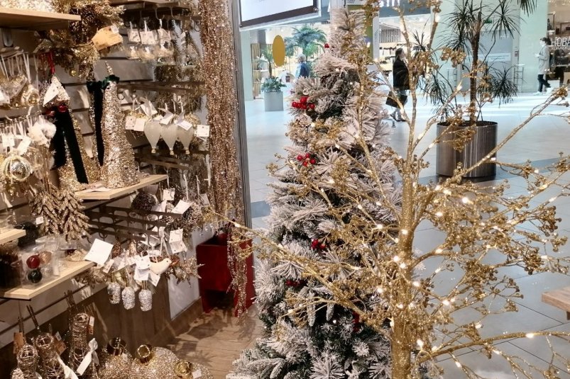 Власти Сочи ввели запрет на фейерверки на городских праздниках Карина Подкина