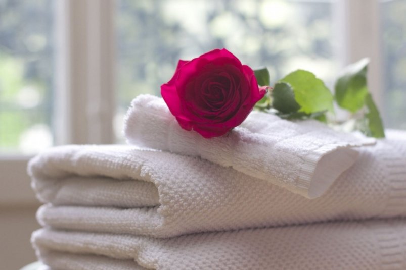 Тематическое фото pxhere.com