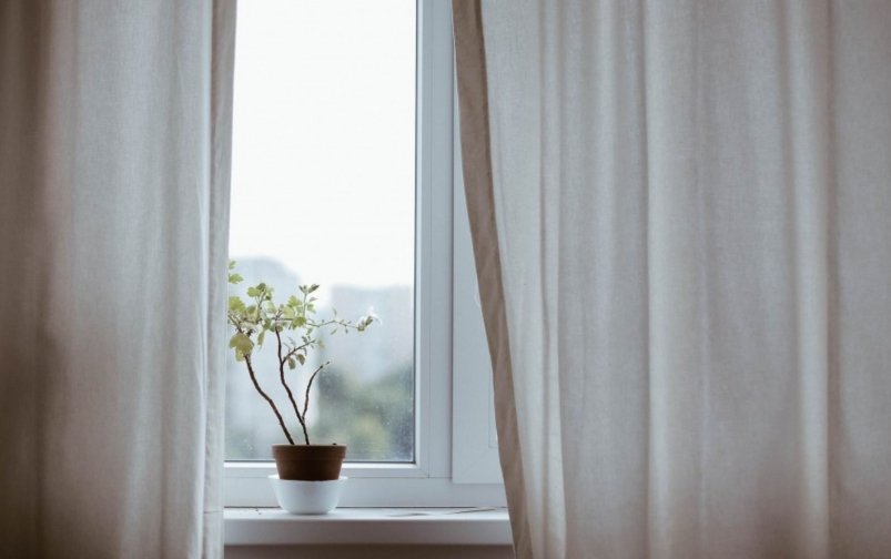 Тематическое фото pxhere.com