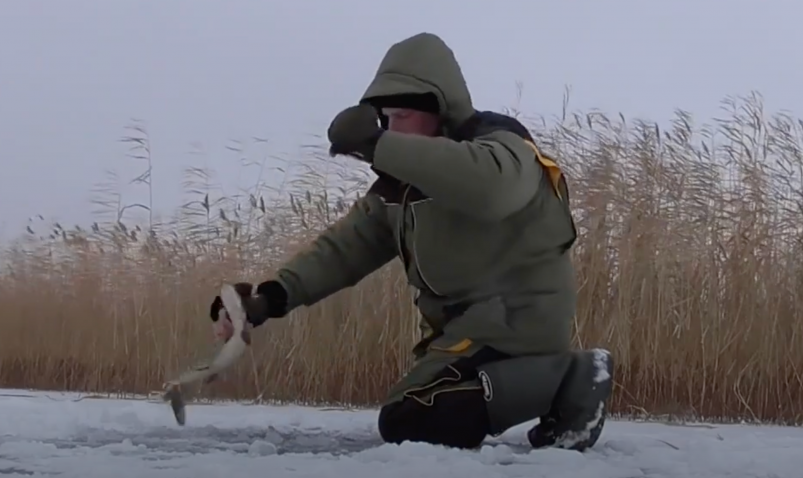 Только закинул и сразу поклевка: как ловить окуня на жерлицы: идеально на декабрь кадр из дзен-канала "Рыбалка с Денчиком" (12+)