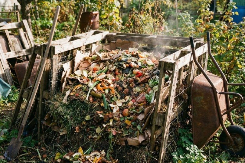 Тематическое фото chat.qwen.ai