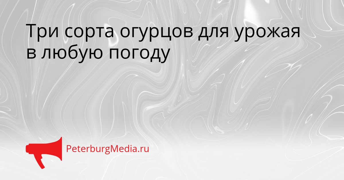 Три сорта огурцов для урожая в любую погоду Сгенерировано