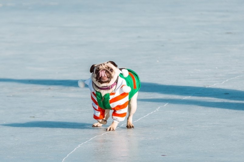 тематическое фото ИА ЕАОMedia