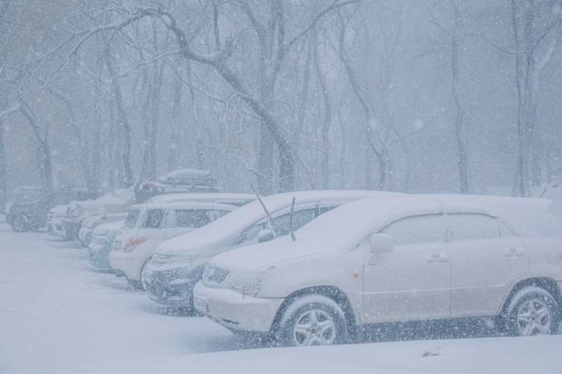 Зима на Камчатке Мария Смитюк, ИА PrimaMedia.ru