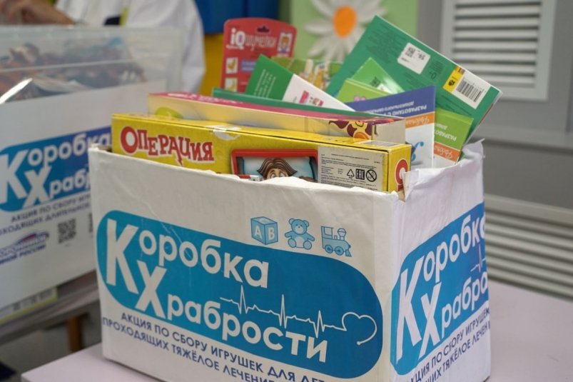 Фото Пресс-служба отделения партии "ЕДИНАЯ РОССИЯ" по Камчатскому краю