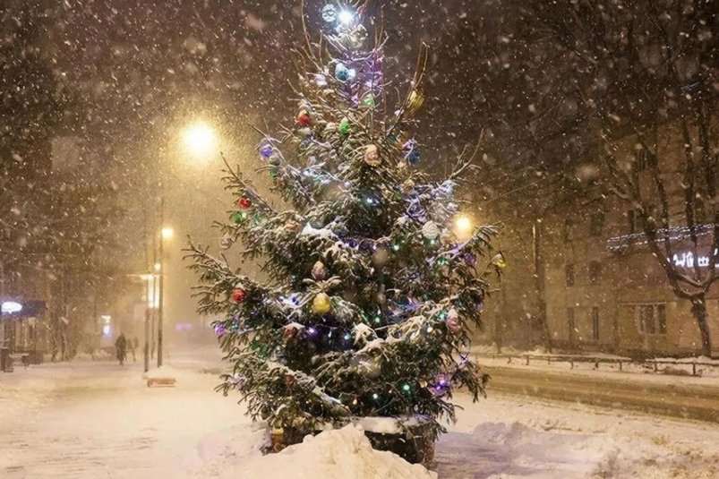 Тематическое фото Мэрия Магадана