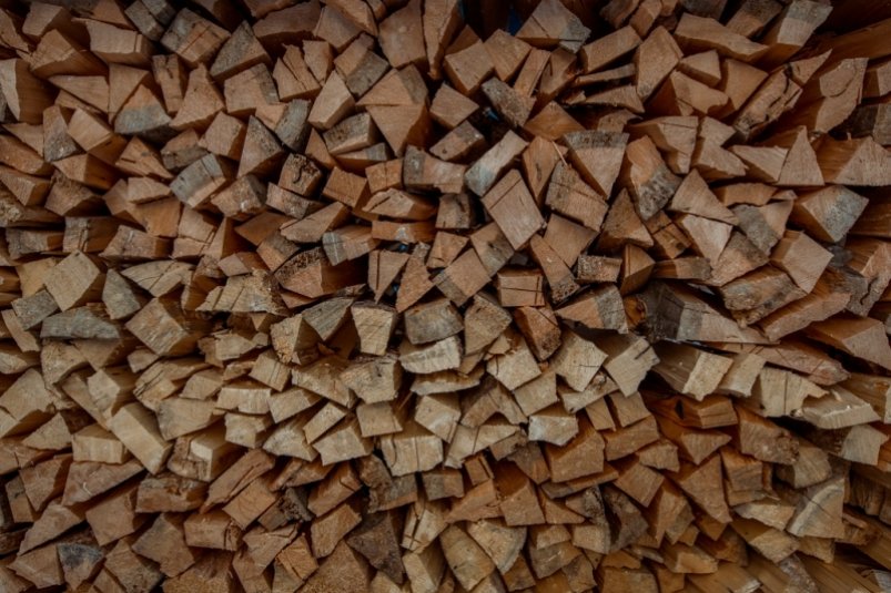 Тематическое фото ИА PrimaMedia