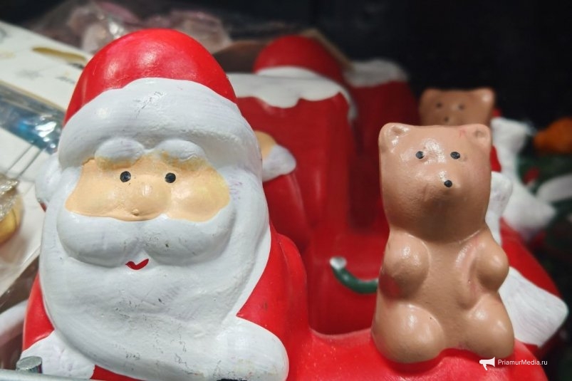 Сотни писем в Великий Устюг отправляют жители Амурской области Юлия Ожегова, ИА PriamurMedia