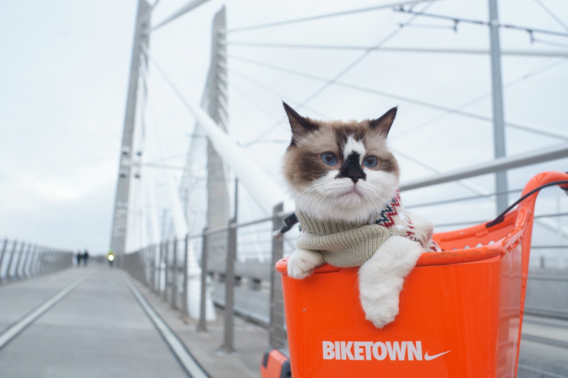 Тематическое фото Сайт pxhere.com