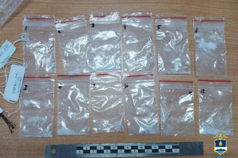 В Бурятии завершено дело против закладчицы наркотиков МВД по Бурятии